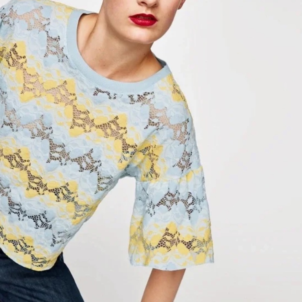 Zara Embroidered Cutout Crop Top